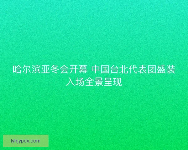 哈尔滨亚冬会开幕 中国台北代表团盛装入场全景呈现 哈尔滨亚冬会开幕 中国台北代表团盛装入场全景呈现
